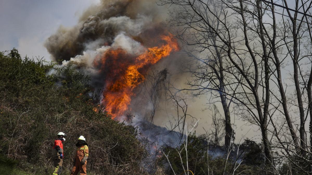 Los bomberos intervienen para apagar las llamas en el Monte Naranco