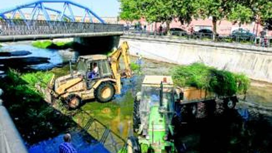 El ayuntamiento extrae hasta 60 toneladas de cieno del Albarregas