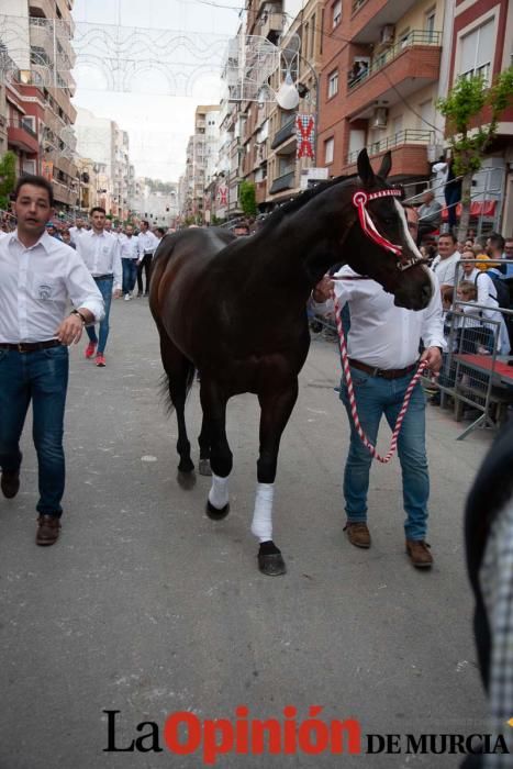 Caballos del Vino: Concurso morfológico (salida Pl