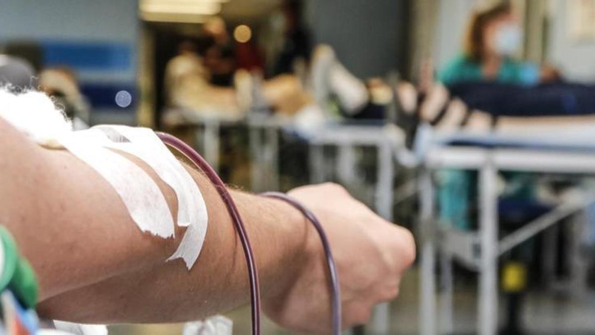 Una persona dona sangre.