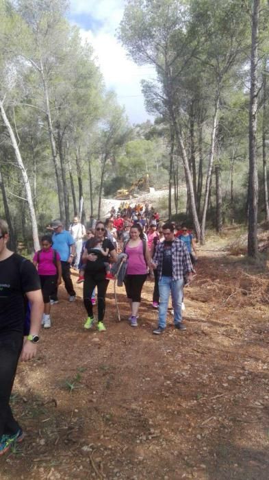 Unos 200 excursionistas se movilizan contra las torres eléctricas de Son Puig