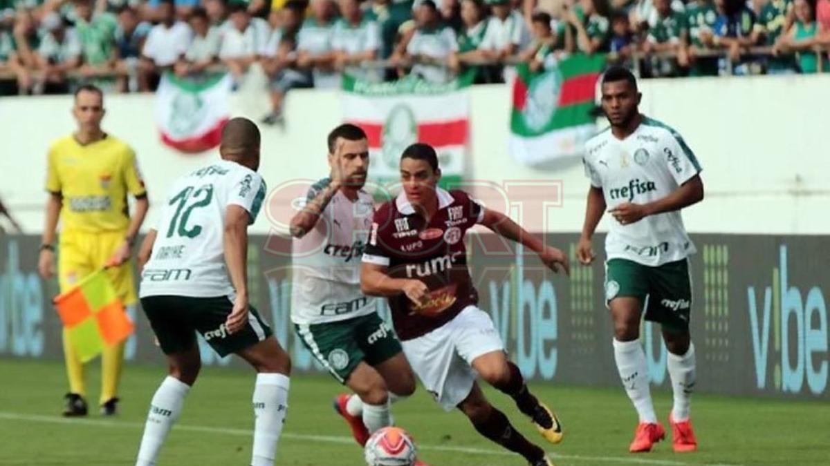 Palmeiras estará arrancando el próximo mes su participación en la Copa Libertadores