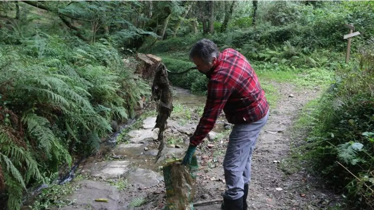 Limpieza en el Sendero del Rialdarca, este domingo