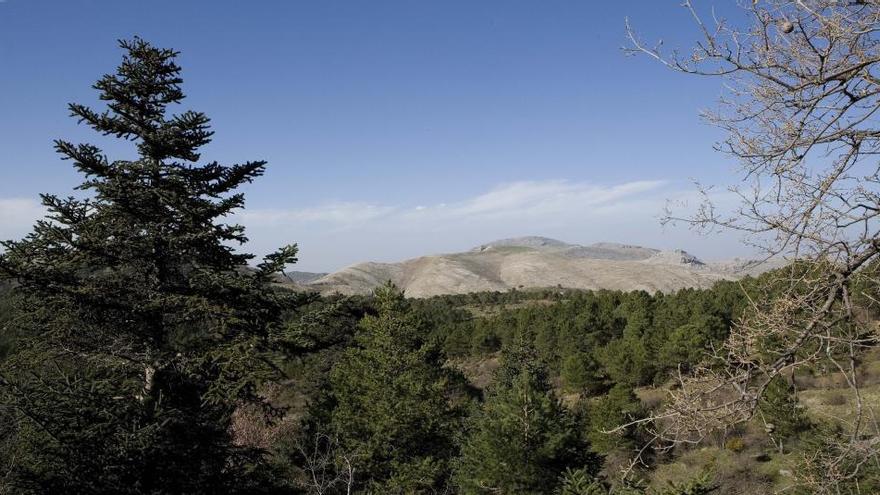 El futuro parque nacional protegerá unas 23.000 hectáreas de la provincia de Málaga.