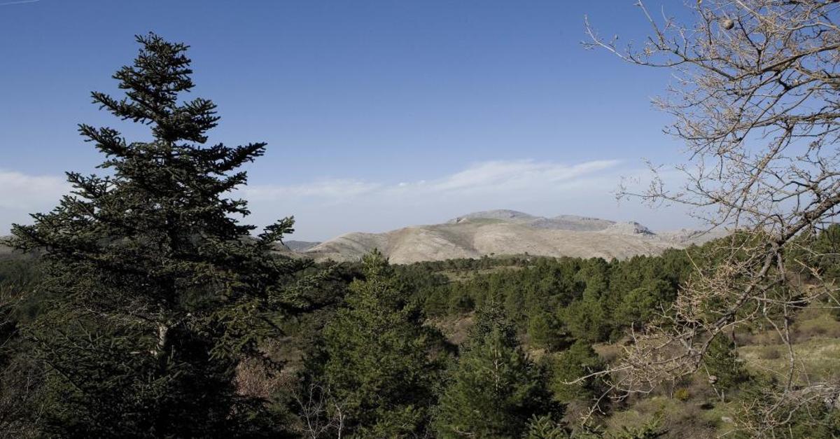 Imagen de la Sierra de las Nieves.