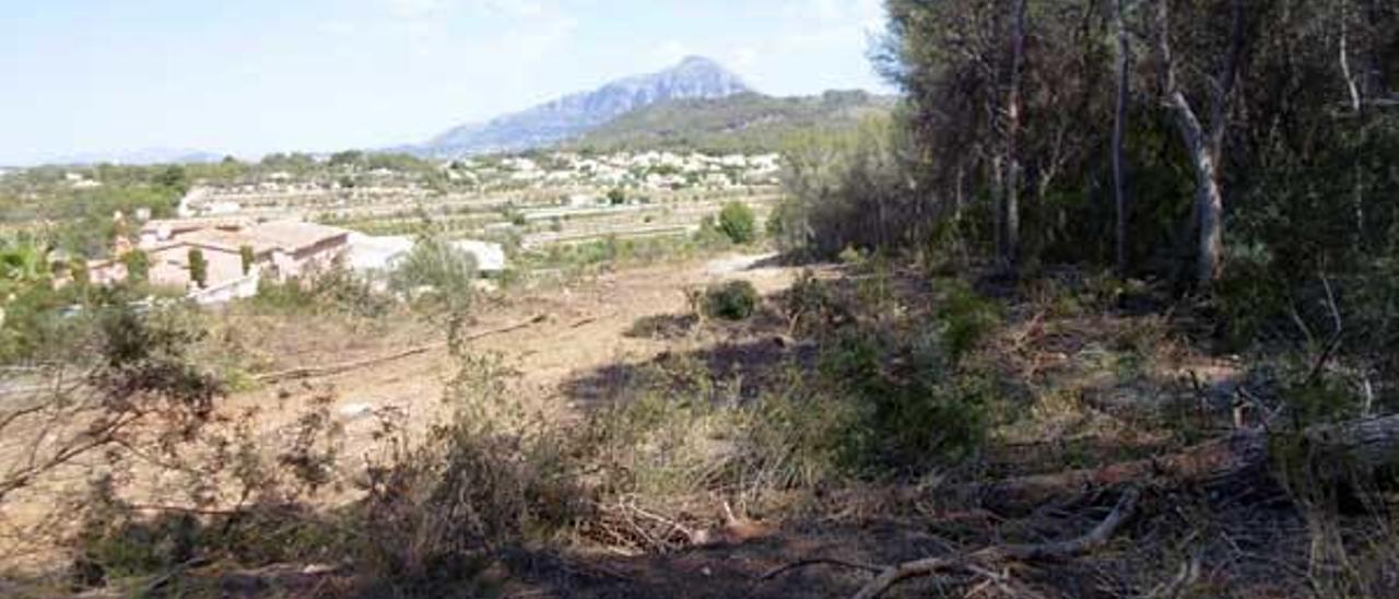 Los chalés «mueven» el bosque en Xàbia