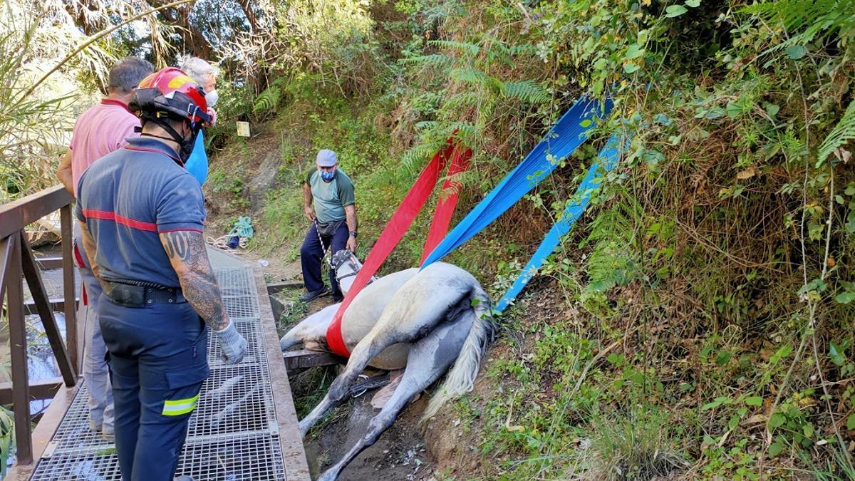 Imagen del rescate de la yegua en Benahavís.