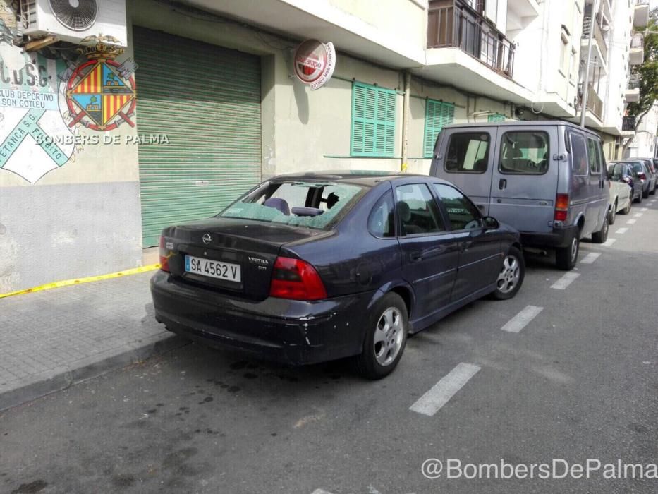 Incidentes por el fuerte viento en Palma