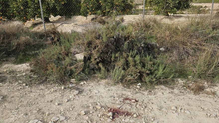 El hombre asesinado en La Vila fue apresado en la operación contra el «narco de la Wikipedia»