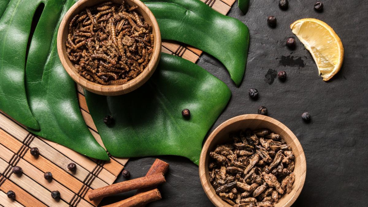 Menjarem insectes al futur?