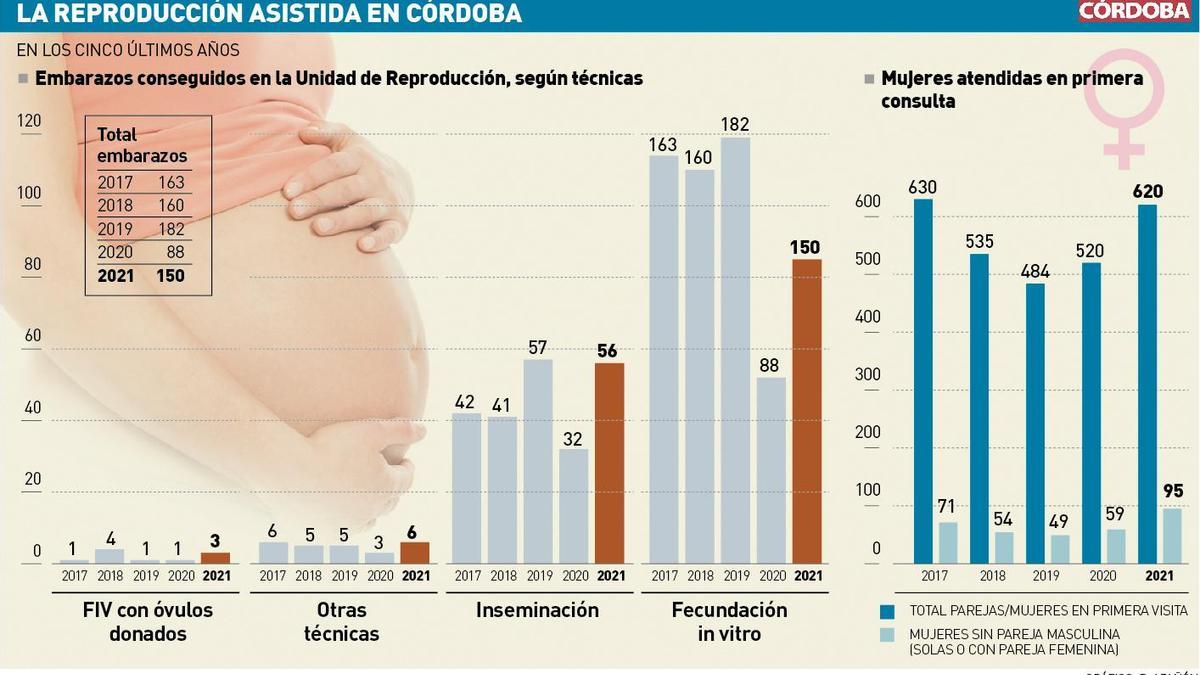 La reproducción asistida en Córdoba.