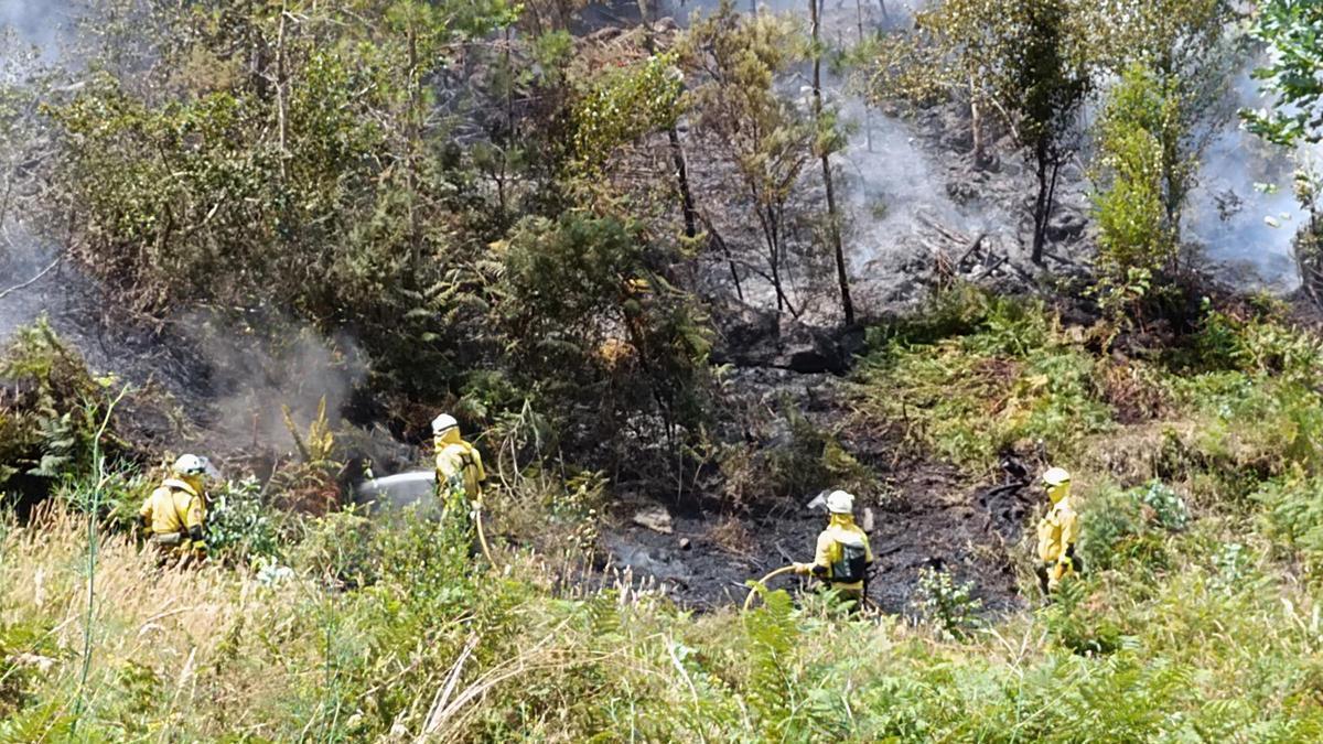 Brigadistas trabajando en las labores de extinción del incendio en Nande.