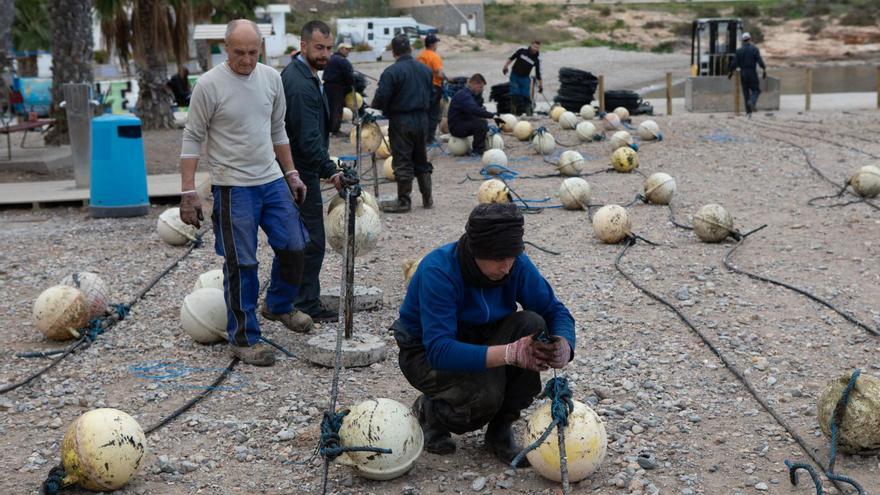 Preparativos para la almadrabade La Azohía.