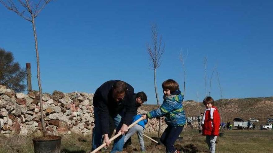 Niños de corta edad durante la plantación popular.