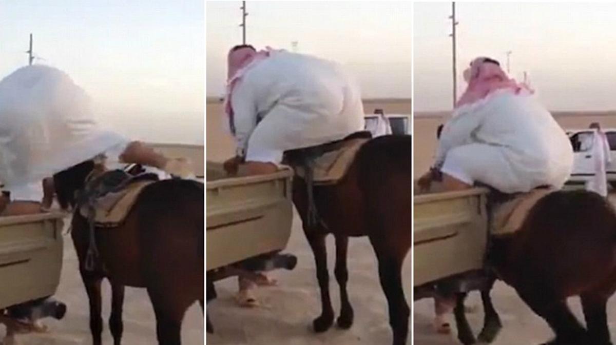 Un hombre de Arabia Saudita intenta subir a un cabello y este no puede con él