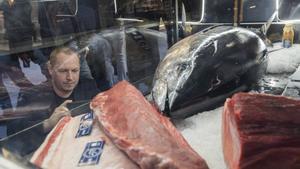 SeaFood converteix Barcelona en la capital del peix