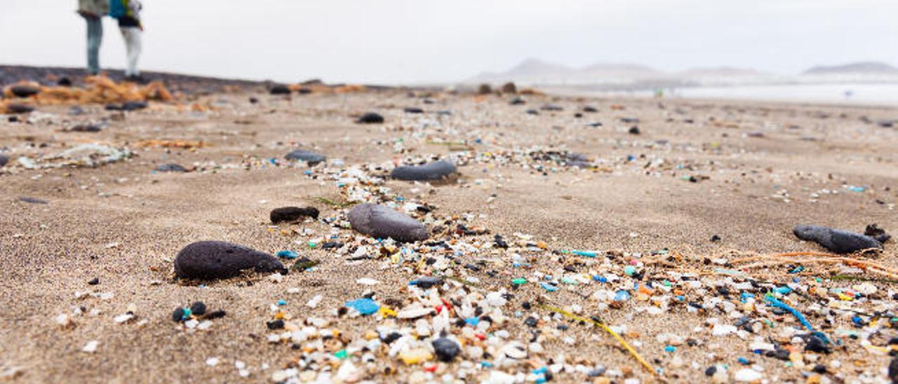 Concentración de plásticos en la playa de Famara, en Lanzarote.