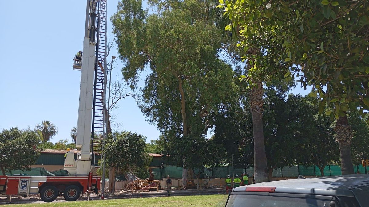 Escala de Bomberos durante las tareas para retirar el árbol caído, que ha provocado también daños en un muro.