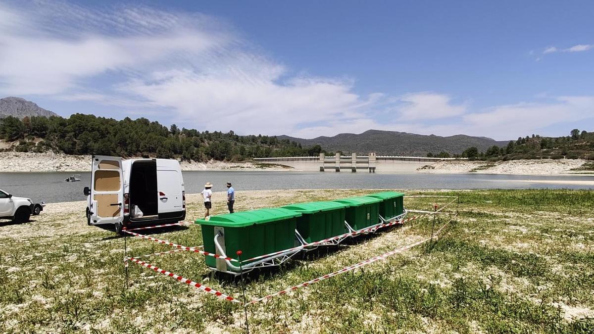El pantano de Beniarrés, el verano pasado, cuando estaba casi seco, momento en que se podría haber dragado con mucha facilidad.