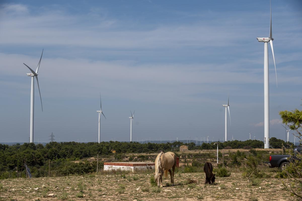 Aerogeneradores en un parque eólico