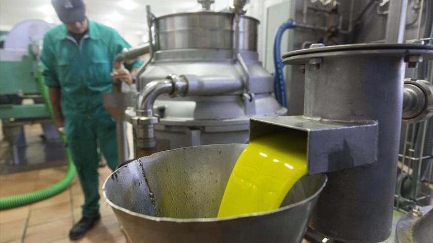 La producción de aceite de la provincia supone una quinta parte del total nacional