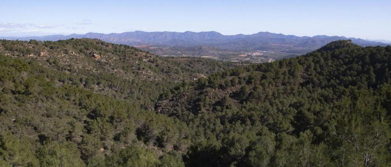 Panorámica del Parc
Natural de la 
Calderona.  germán caballero