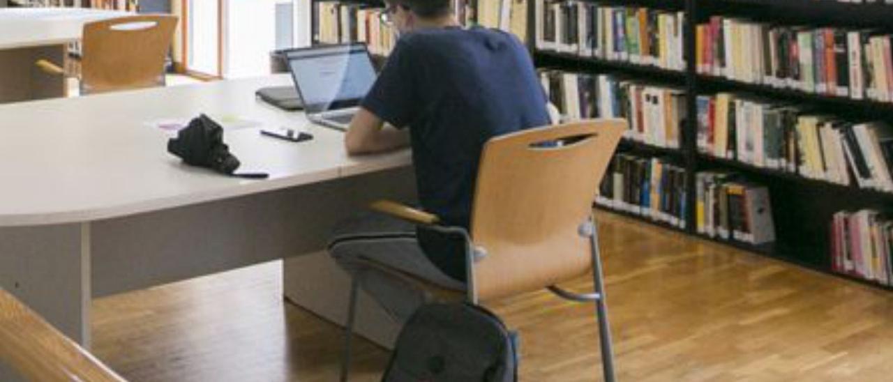 Un alumne fa repàs a la Biblioteca