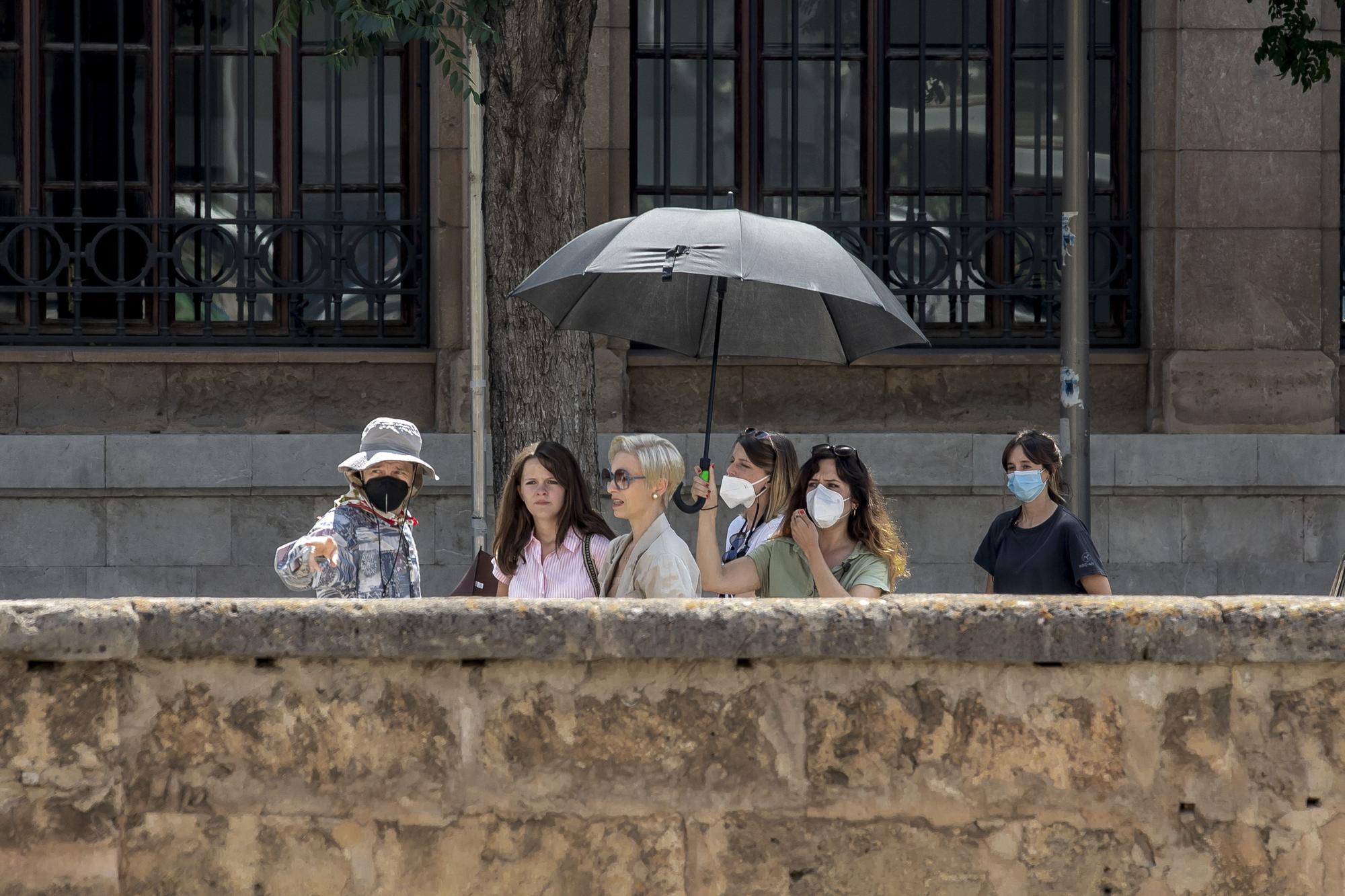 Alquilan el edificio sa Riera de la UIB para rodar la serie 'Köning von Palma'