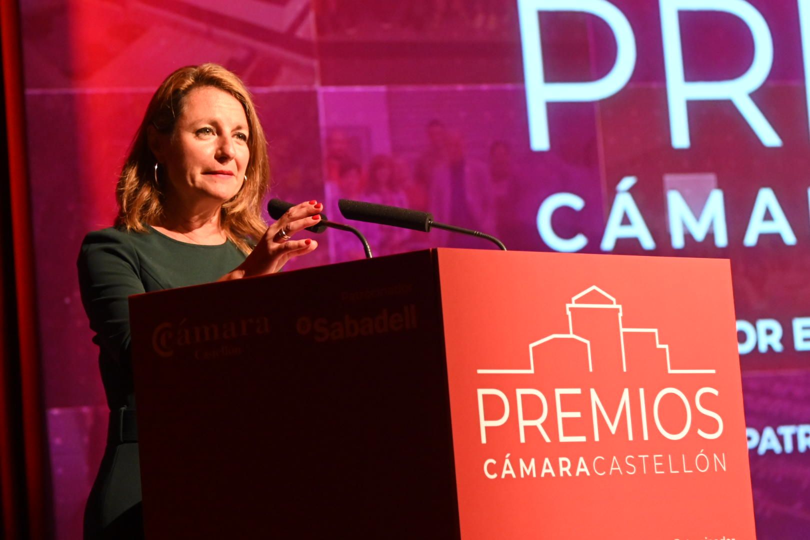 Galería: Entrega de los Premios de Cámara