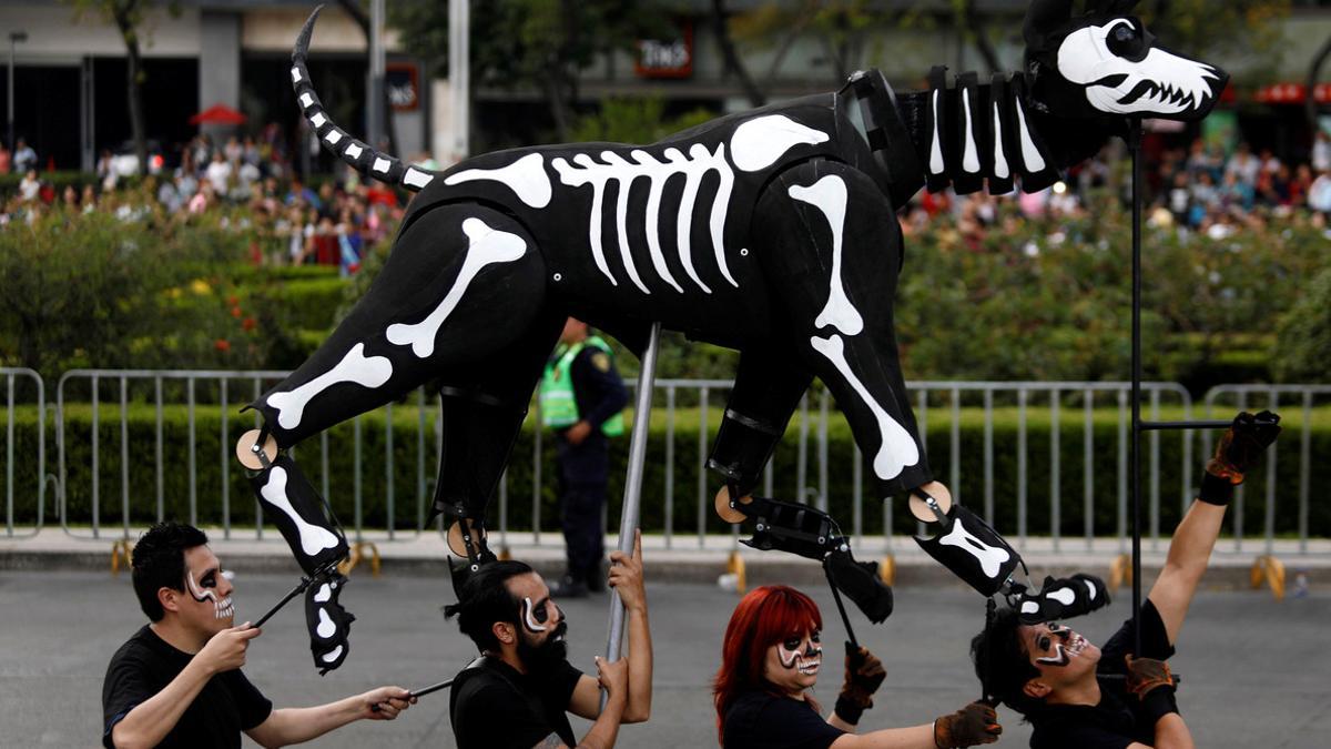 Día de muertos 2017: ¿Qué simboliza el perro?