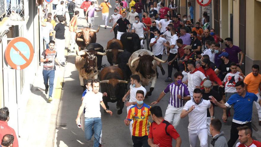Medi TV se vuelca con los ‘bous al carrer’ de Almassora y les Alqueries