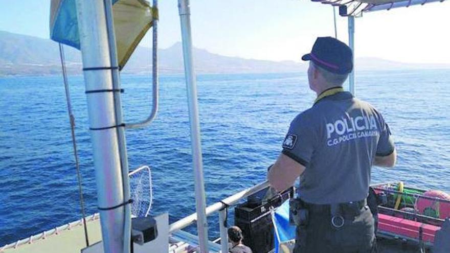 Denunciados siete barcos turísticos de avistar cetáceos en el sur de Tenerife