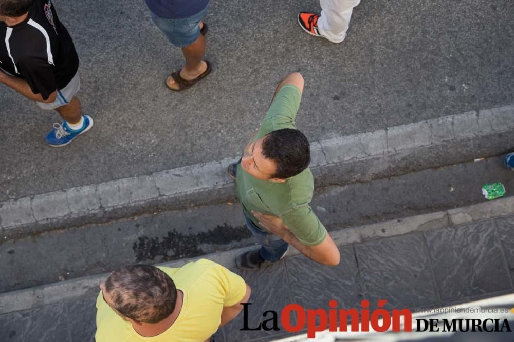 Suelta de toros en Moratalla