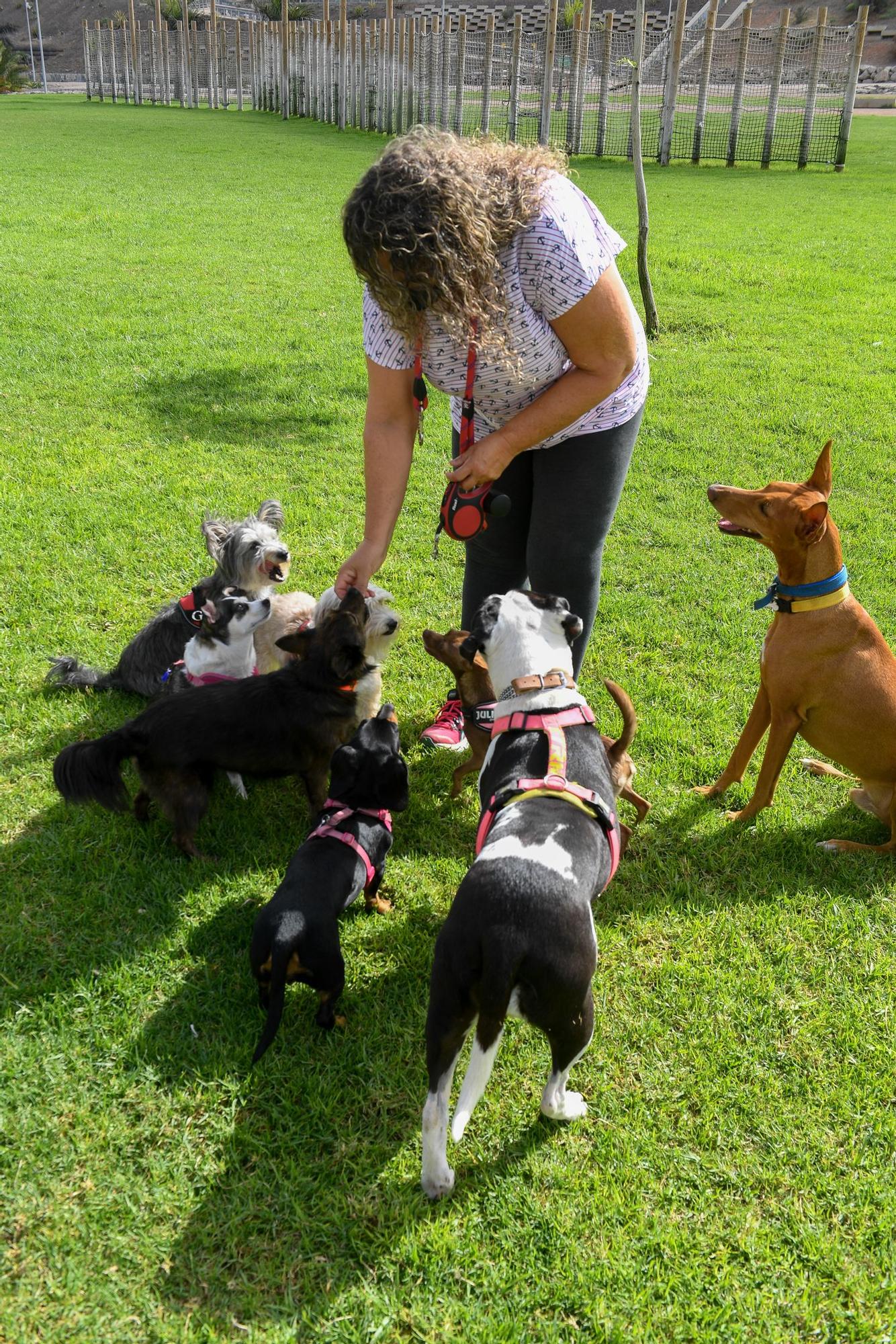 Jornada de domingo en el parque de La Ballena