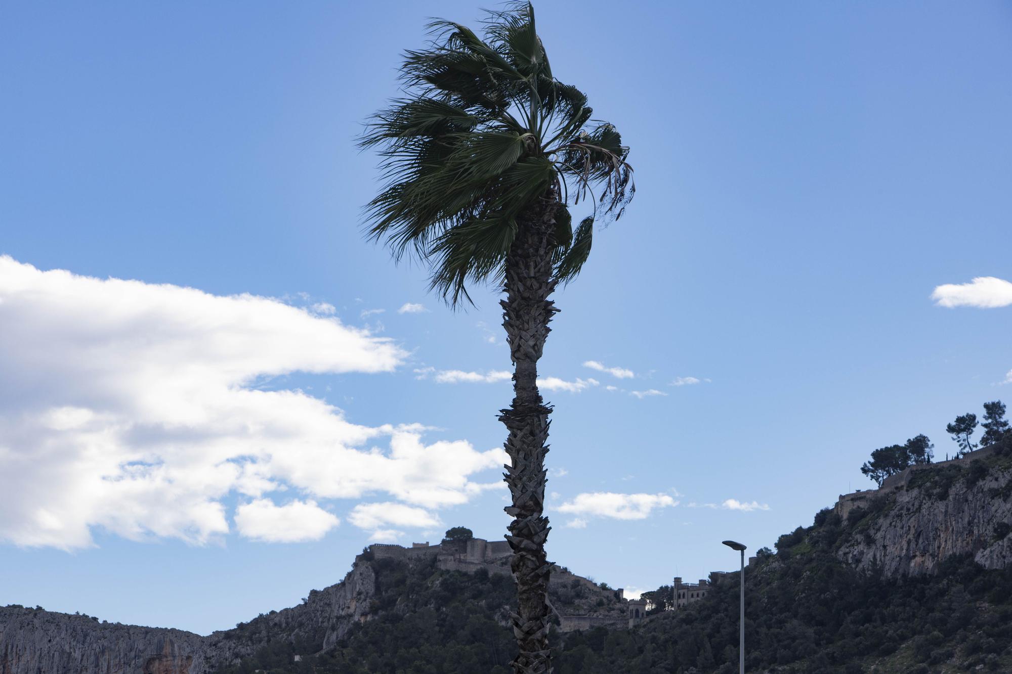 El viento azota con fuerza en Xàtiva