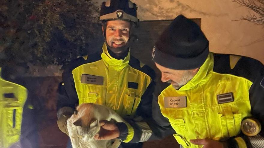 Los bomberos de Ibiza liberan un gato atrapado en un cuarto de maquinaria