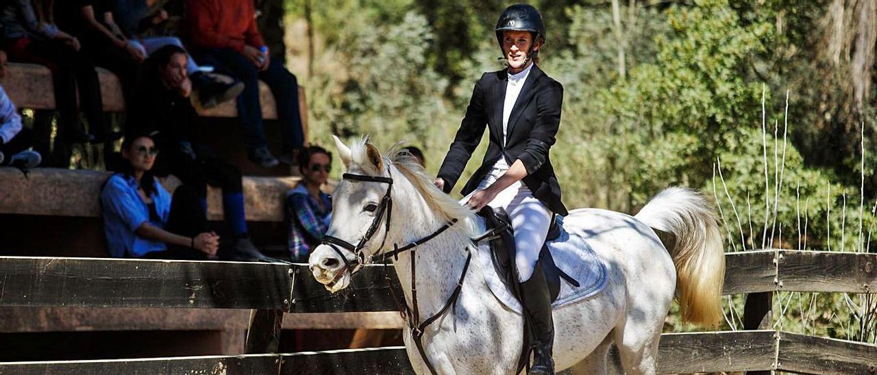 La cabaña equina en Balears no ha sido afectada por el rino y por el momento está controlada. | T. E.