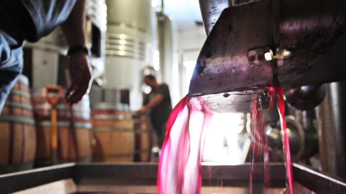 Proceso de elaboración de vino en una bodega de la provincia.
