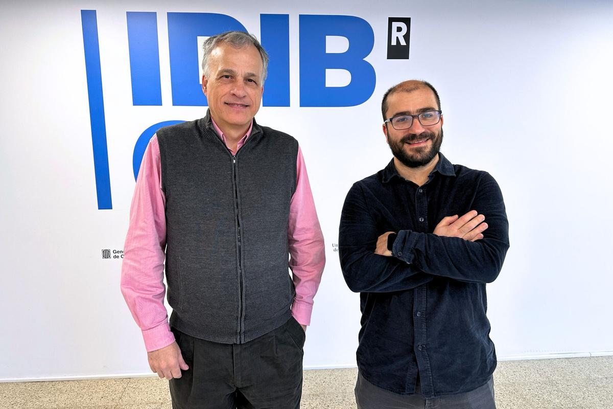 A l'esquerra, el cap del grup de Nutrició, Metabolisme i Salut, el doctor José Manuel Fernández-Real. A la dreta, l'investigador consolidat el doctor José María Moreno-Navarrete