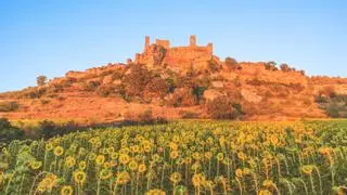 Ni Pedraza ni Frías: el pueblo medieval mejor conservado de España está en la provincia de Soria