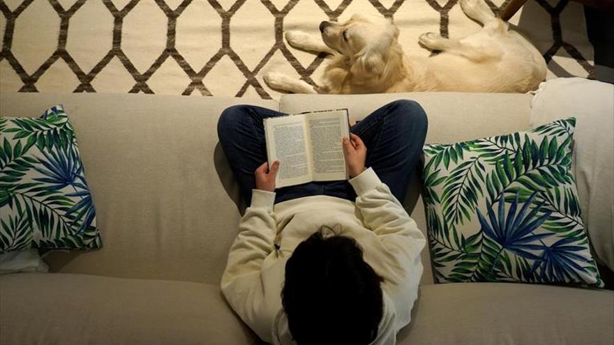 Diputació celebra el Dia del Llibre el dijous amb quatre contacontes