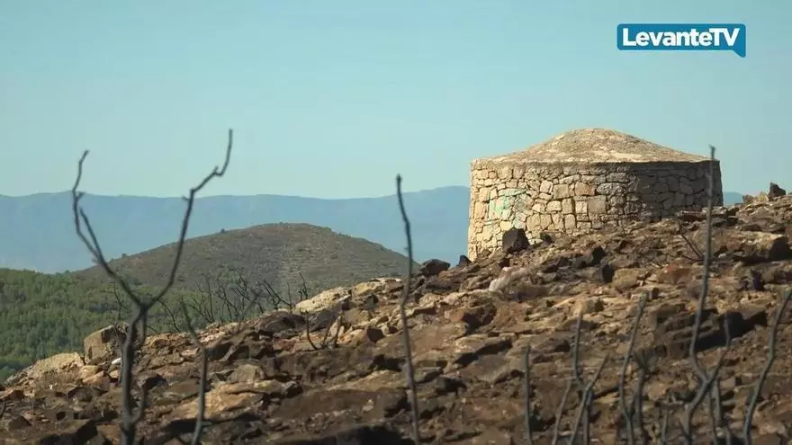 Se destinan 700.000 euros a la reforestación de Segorbe y Gátova