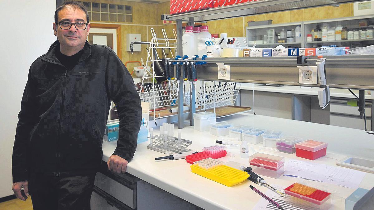 Guillermo Ramis en uno de los laboratorios de la Universidad de Murcia.