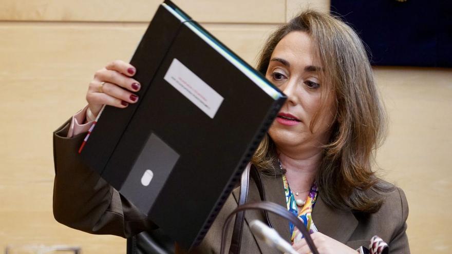 La consejera de Agricultura, Ganadería y Desarrollo Rural, María González Corral, comparece en las Cortes. | LETICIA PÉREZ / ICAL