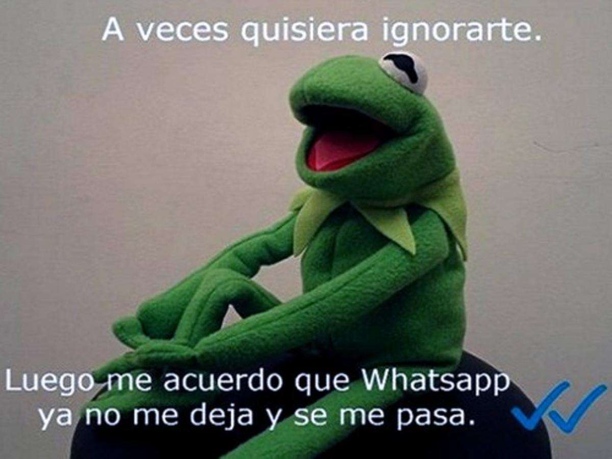 Los memes del doble check de Whatsapp Los memes del doble check de Whatsapp