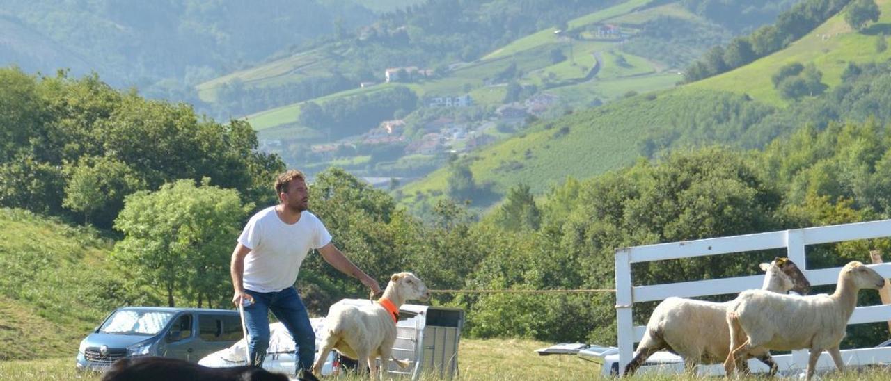 «Cuando te matan las ovejas, se te quitan  las ganas de todo»