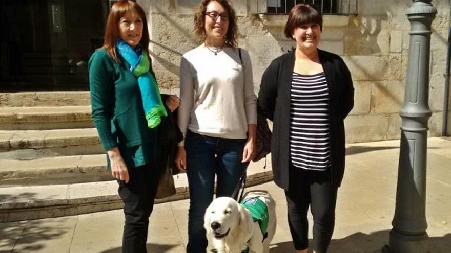 El colegio Jaume I de Vinaròs implanta un programa con perros de refuerzo