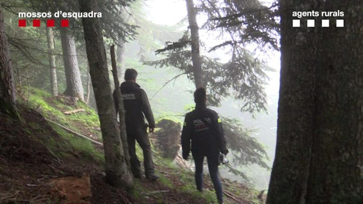 Investigació policial sobre la mort de l&#039;os Cachou.