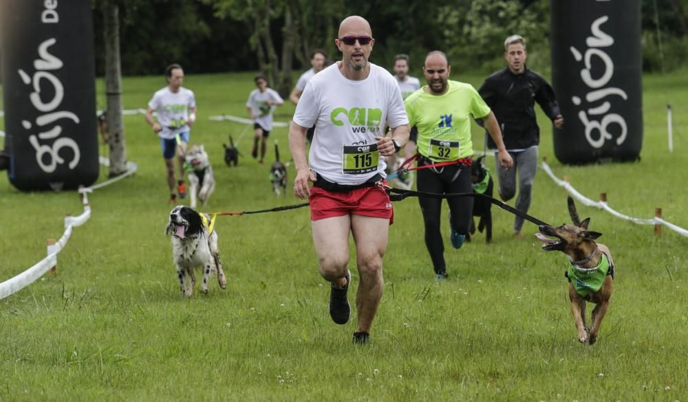 "Can We Run": Deporte, perros y solidaridad toman Gijón