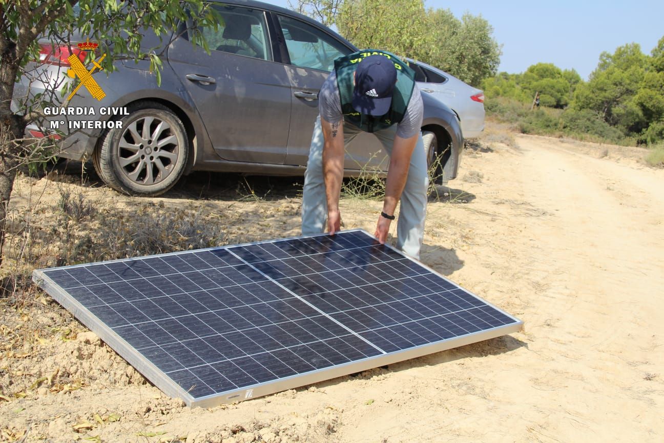 La Guardia Civil desmantela en Mequinenza una plantación al aire libre de marihuana